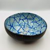 Coconut Bowl
